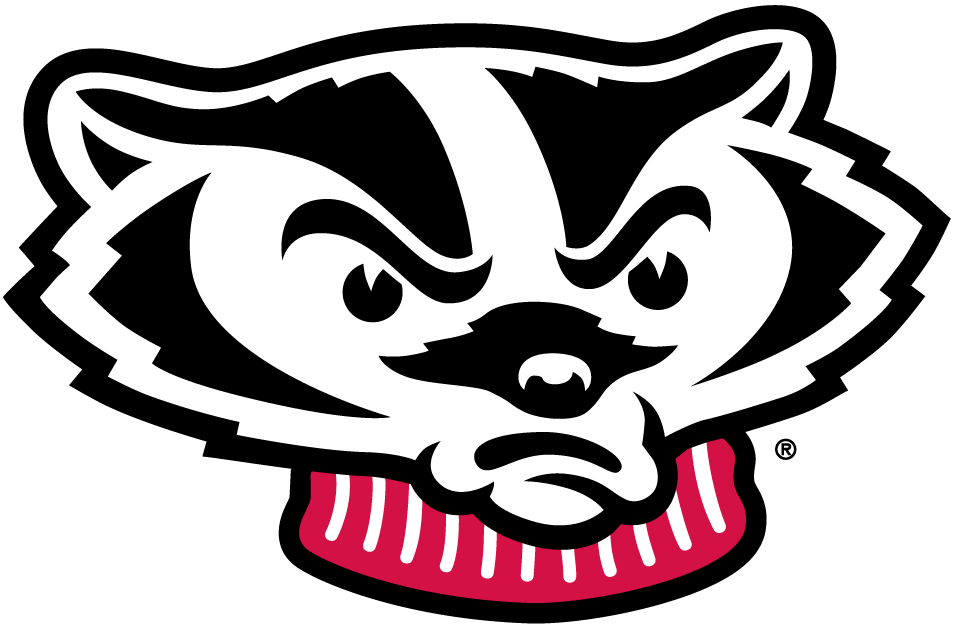 Wisconsin Badgers 2002-Pres Mascot Logo iron on transfers for T-shirts